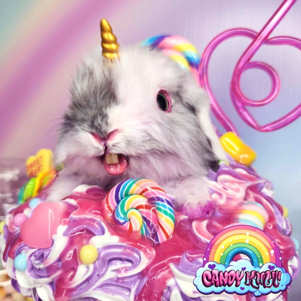 Cotton Candy Milkshake Bunnicorn Candy Kult bunny milkshake taxidermy Candy Cult - Candy Kult Land - Wishbone - Boo Kitty - Panku - Frosti - Toxic Kitten - Hex - Heart - Cult Candy - Ca