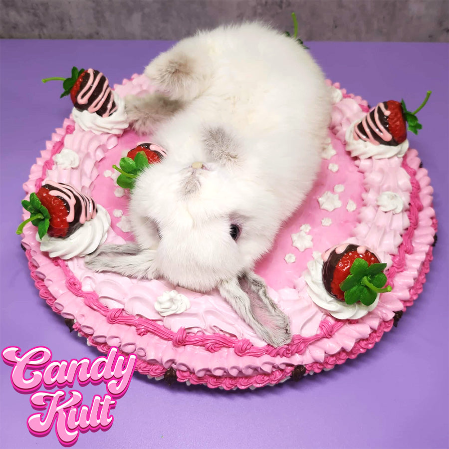 Strawberry Cake Bunny Wall Mount