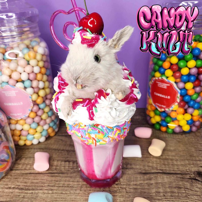 Little Milkshake Bunny Candy Kult bunny milkshake taxidermy Candy Cult - Candy Kult Land - Wishbone - Boo Kitty - Panku - Frosti - Toxic Kitten - Hex - Heart - Cult Candy - Ca