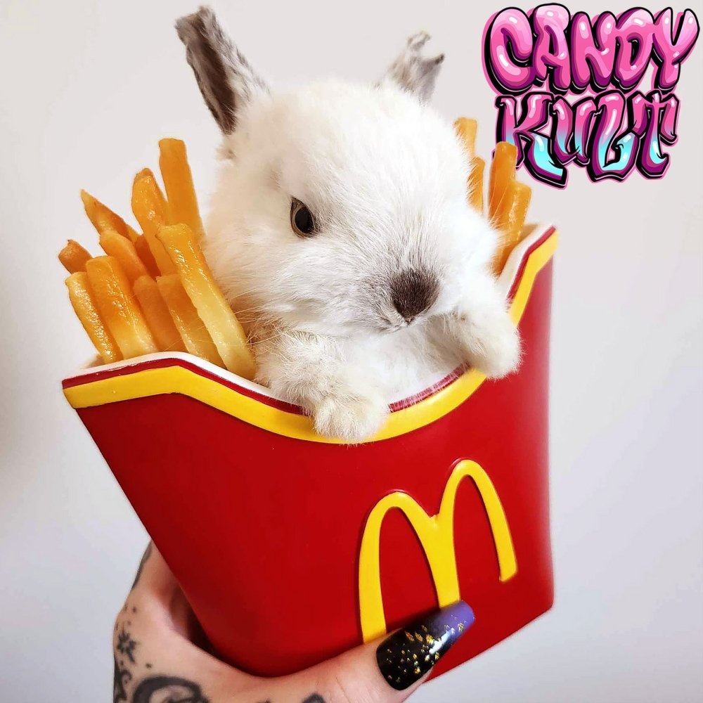 McDonald's Chippie Bunny Candy Kult bunny taxidermy Candy Cult - Candy Kult Land - Wishbone - Boo Kitty - Panku - Frosti - Toxic Kitten - Hex - Heart - Cult Candy - Ca