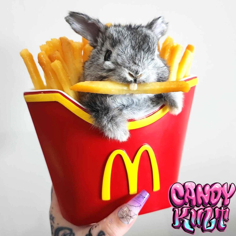 McDonald's Chippie Thief Bunny Candy Kult bunny milkshake taxidermy Candy Cult - Candy Kult Land - Wishbone - Boo Kitty - Panku - Frosti - Toxic Kitten - Hex - Heart - Cult Candy - Ca