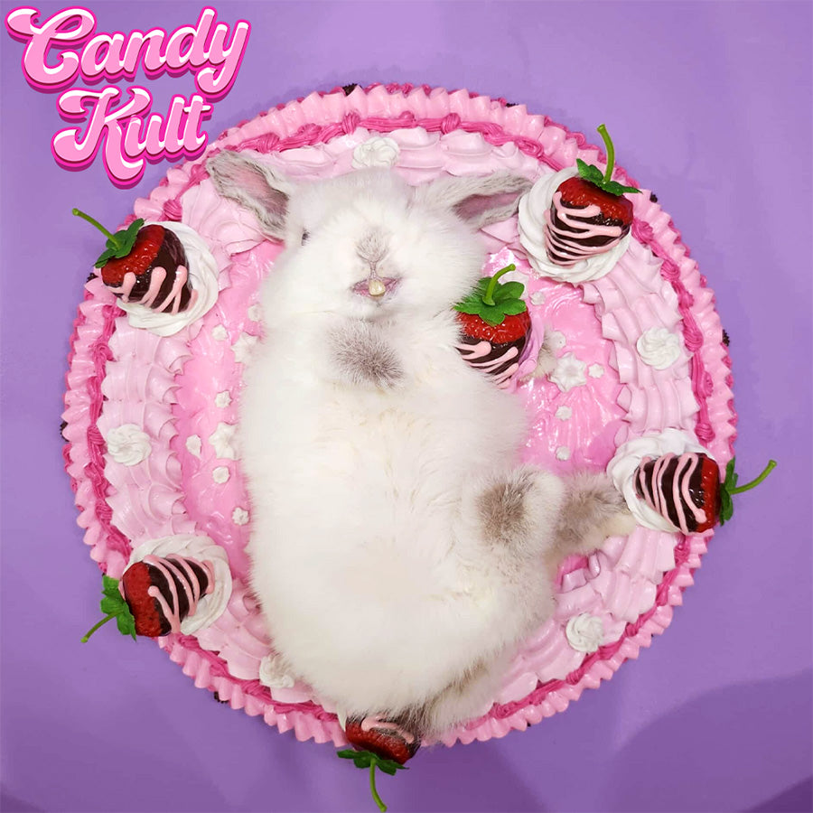 Strawberry Cake Bunny Wall Mount