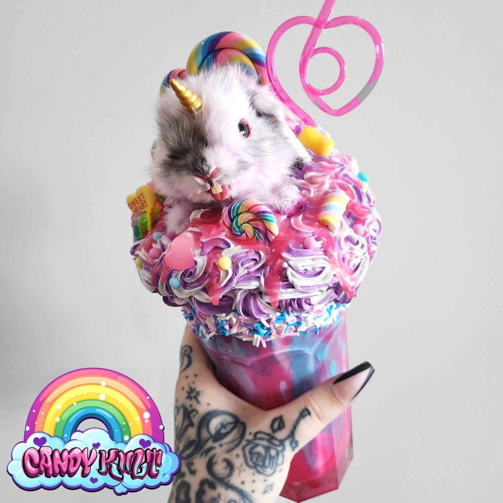 Cotton Candy Milkshake Bunnicorn Candy Kult bunny milkshake taxidermy Candy Cult - Candy Kult Land - Wishbone - Boo Kitty - Panku - Frosti - Toxic Kitten - Hex - Heart - Cult Candy - Ca