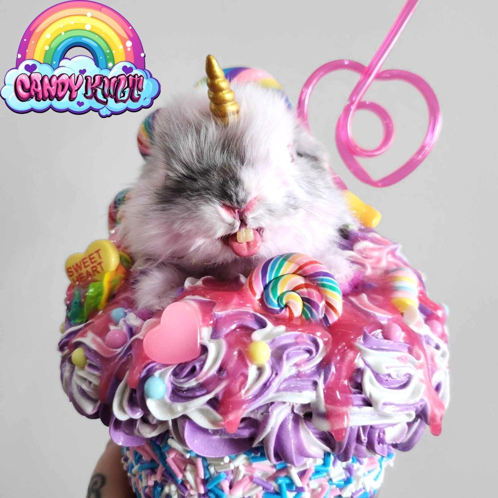 Cotton Candy Milkshake Bunnicorn Candy Kult bunny milkshake taxidermy Candy Cult - Candy Kult Land - Wishbone - Boo Kitty - Panku - Frosti - Toxic Kitten - Hex - Heart - Cult Candy - Ca
