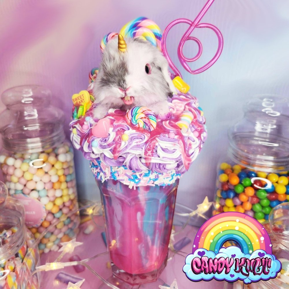 Cotton Candy Milkshake Bunnicorn Candy Kult bunny milkshake taxidermy Candy Cult - Candy Kult Land - Wishbone - Boo Kitty - Panku - Frosti - Toxic Kitten - Hex - Heart - Cult Candy - Ca