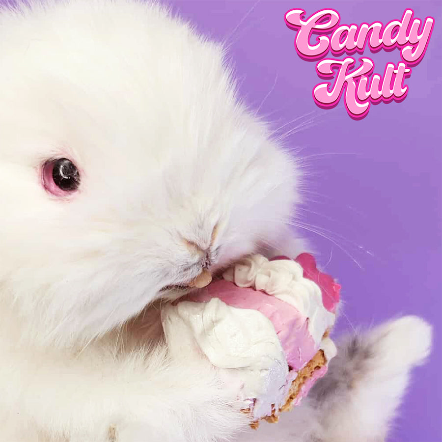 Cake Thief Bunny Cute Colourful Mount
