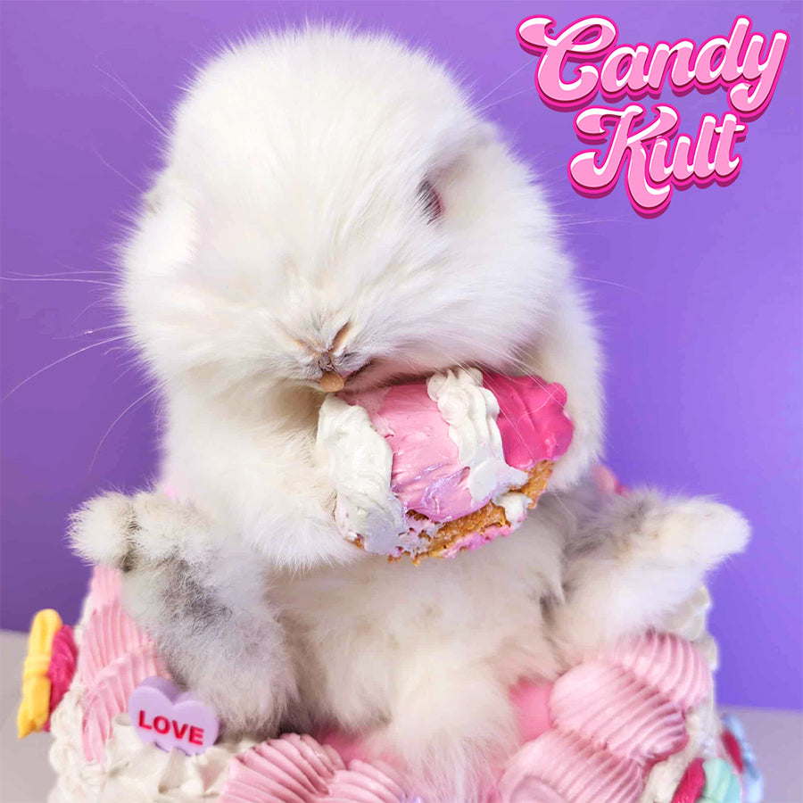 Cake Thief Bunny Cute Colourful Mount