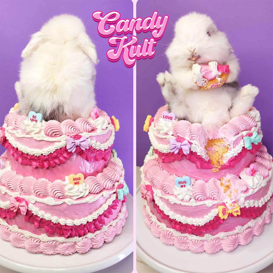 Cake Thief Bunny Cute Colourful Mount
