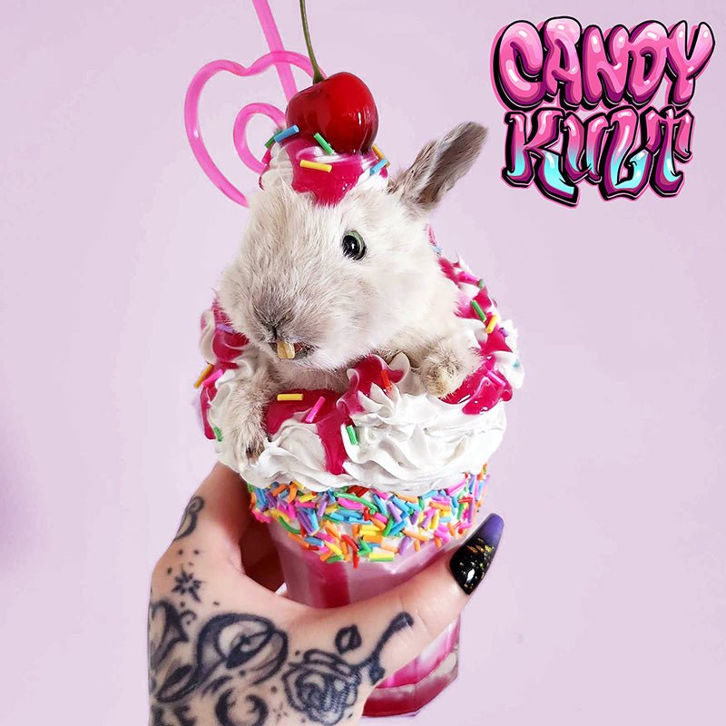Little Milkshake Bunny Candy Kult bunny milkshake taxidermy Candy Cult - Candy Kult Land - Wishbone - Boo Kitty - Panku - Frosti - Toxic Kitten - Hex - Heart - Cult Candy - Ca