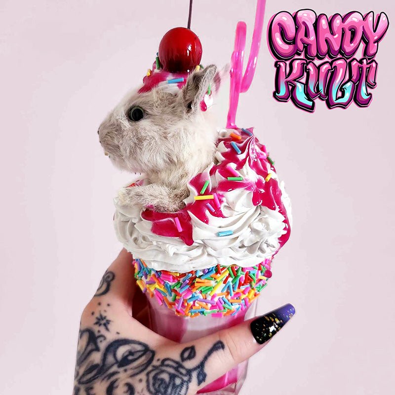 Little Milkshake Bunny Candy Kult bunny milkshake taxidermy Candy Cult - Candy Kult Land - Wishbone - Boo Kitty - Panku - Frosti - Toxic Kitten - Hex - Heart - Cult Candy - Ca