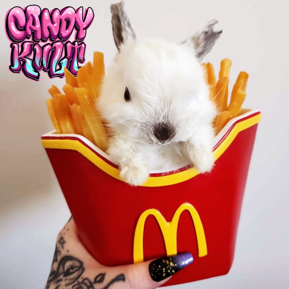 McDonald's Chippie Bunny Candy Kult bunny taxidermy Candy Cult - Candy Kult Land - Wishbone - Boo Kitty - Panku - Frosti - Toxic Kitten - Hex - Heart - Cult Candy - Ca