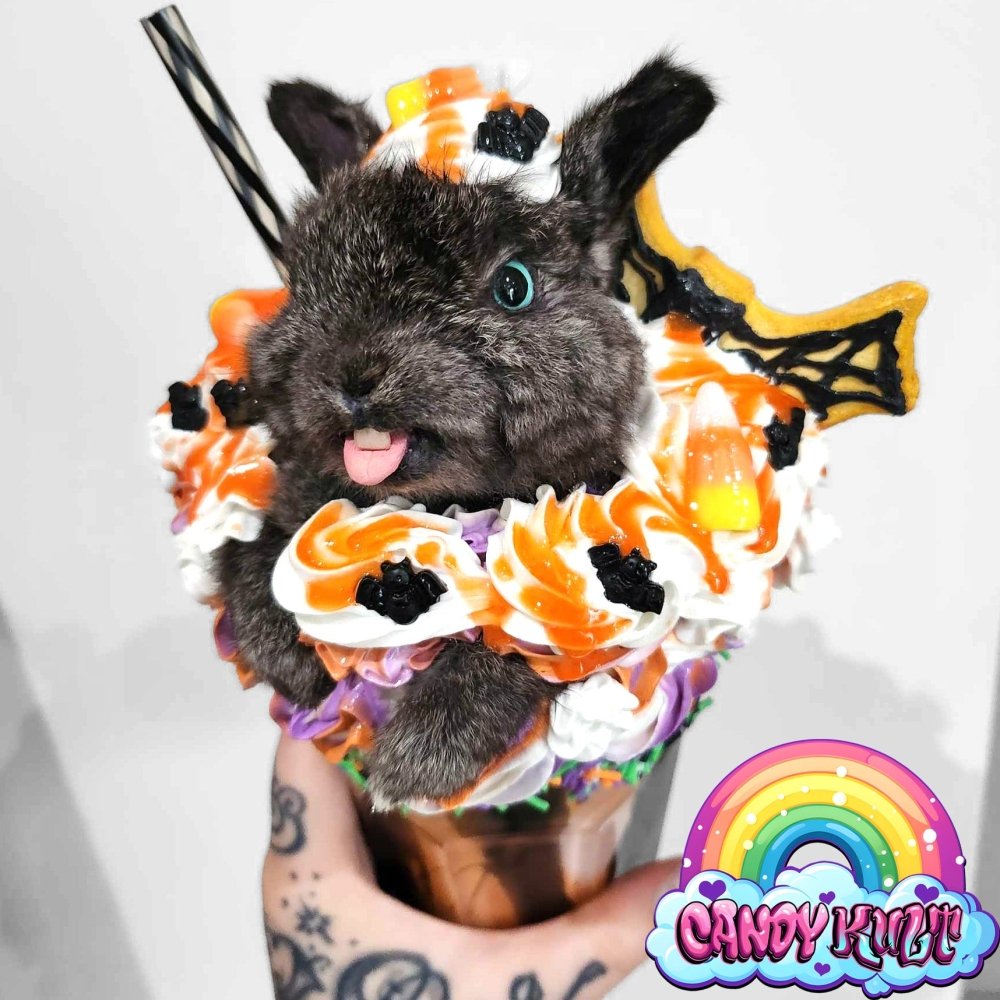 Spooky Milkshake Bunny LARGE Milkshake Candy Kult bunny milkshake taxidermy Candy Cult - Candy Kult Land - Wishbone - Boo Kitty - Panku - Frosti - Toxic Kitten - Hex - Heart - Cult Candy - Ca