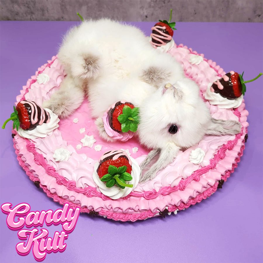 Strawberry Cake Bunny Wall Mount Candy Kult bunny taxidermy Candy Cult - Candy Kult Land - Wishbone - Boo Kitty - Panku - Frosti - Toxic Kitten - Hex - Heart - Cult Candy - Ca