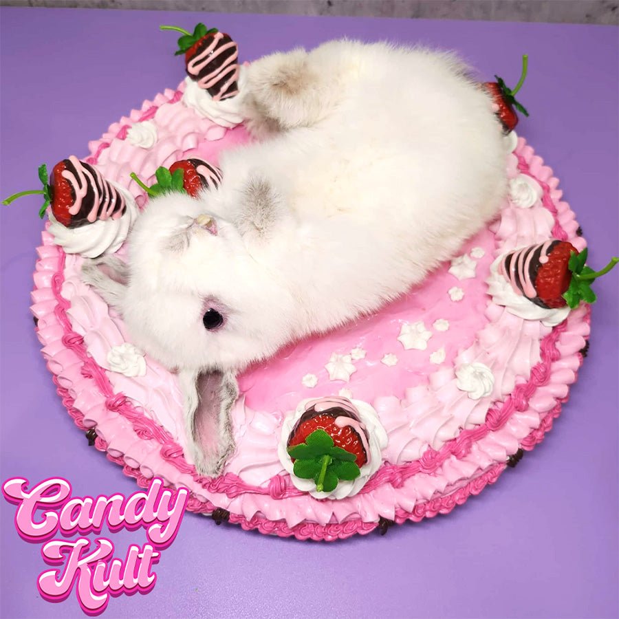 Strawberry Cake Bunny Wall Mount Candy Kult bunny taxidermy Candy Cult - Candy Kult Land - Wishbone - Boo Kitty - Panku - Frosti - Toxic Kitten - Hex - Heart - Cult Candy - Ca