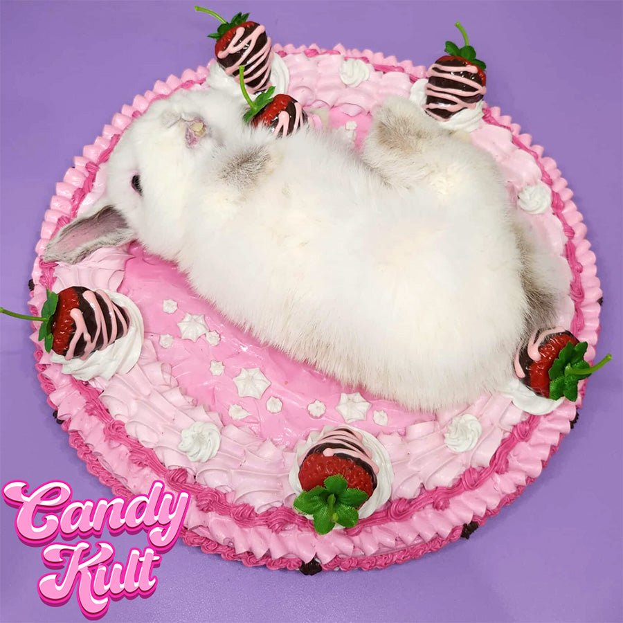 Strawberry Cake Bunny Wall Mount Candy Kult bunny taxidermy Candy Cult - Candy Kult Land - Wishbone - Boo Kitty - Panku - Frosti - Toxic Kitten - Hex - Heart - Cult Candy - Ca