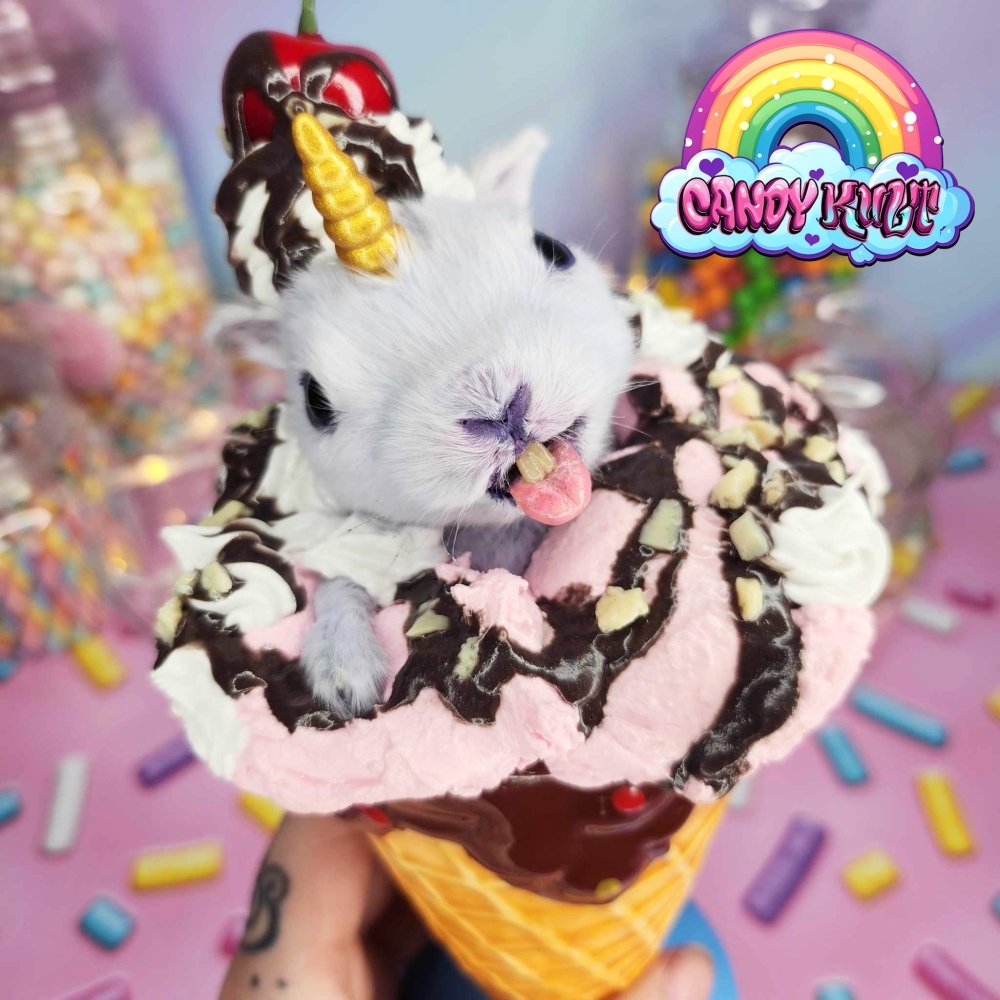 Strawberry Sundae Bunnicorn Candy Kult bunny milkshake taxidermy Candy Cult - Candy Kult Land - Wishbone - Boo Kitty - Panku - Frosti - Toxic Kitten - Hex - Heart - Cult Candy - Ca