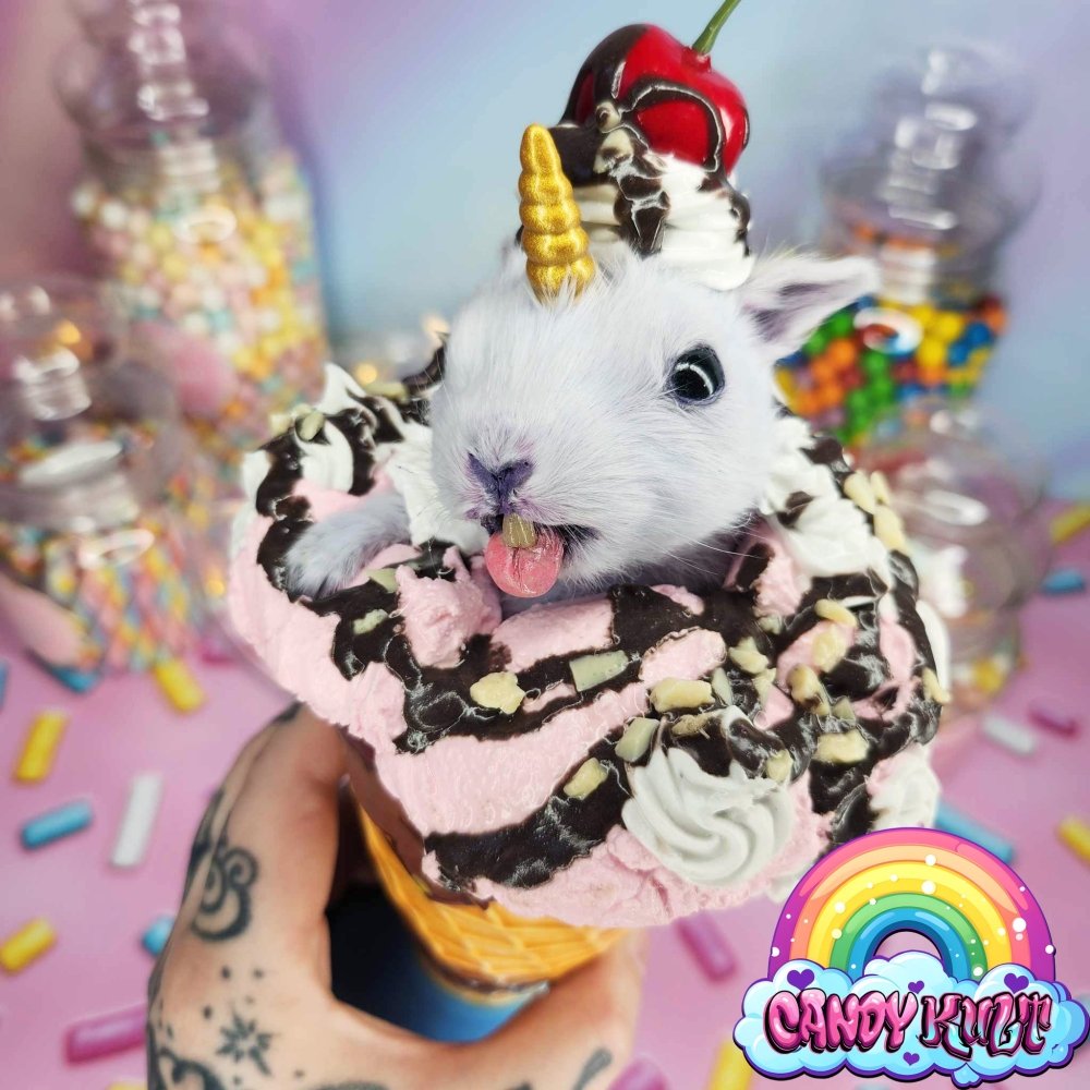 Strawberry Sundae Bunnicorn Candy Kult bunny milkshake taxidermy Candy Cult - Candy Kult Land - Wishbone - Boo Kitty - Panku - Frosti - Toxic Kitten - Hex - Heart - Cult Candy - Ca