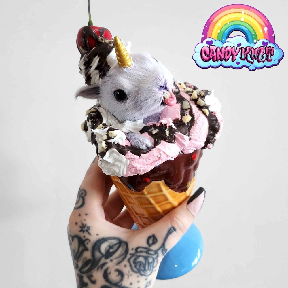Strawberry Sundae Bunnicorn Candy Kult bunny milkshake taxidermy Candy Cult - Candy Kult Land - Wishbone - Boo Kitty - Panku - Frosti - Toxic Kitten - Hex - Heart - Cult Candy - Ca