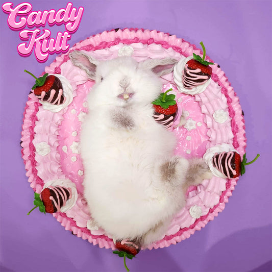 Strawberry Cake Bunny Wall Mount