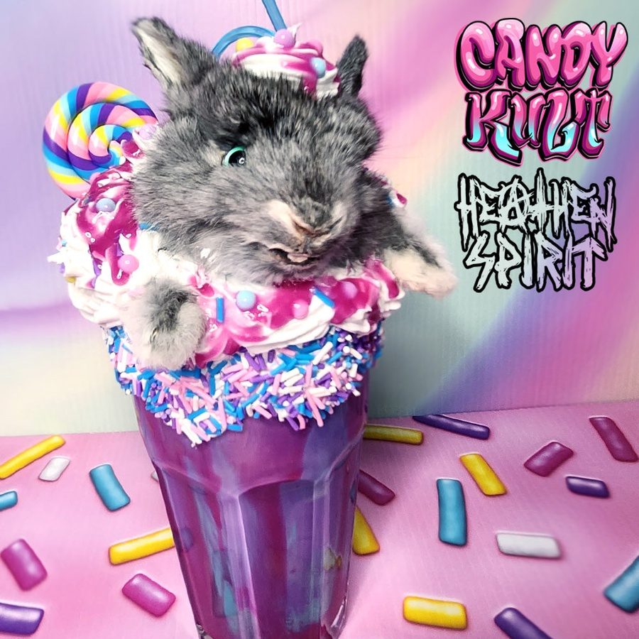 Cotton Candy Bubble Gum Milkshake Bunny Candy Kult bunny milkshake taxidermy Candy Cult - Candy Kult Land - Wishbone - Boo Kitty - Panku - Frosti - Toxic Kitten - Hex - Heart - Cult Candy - Ca