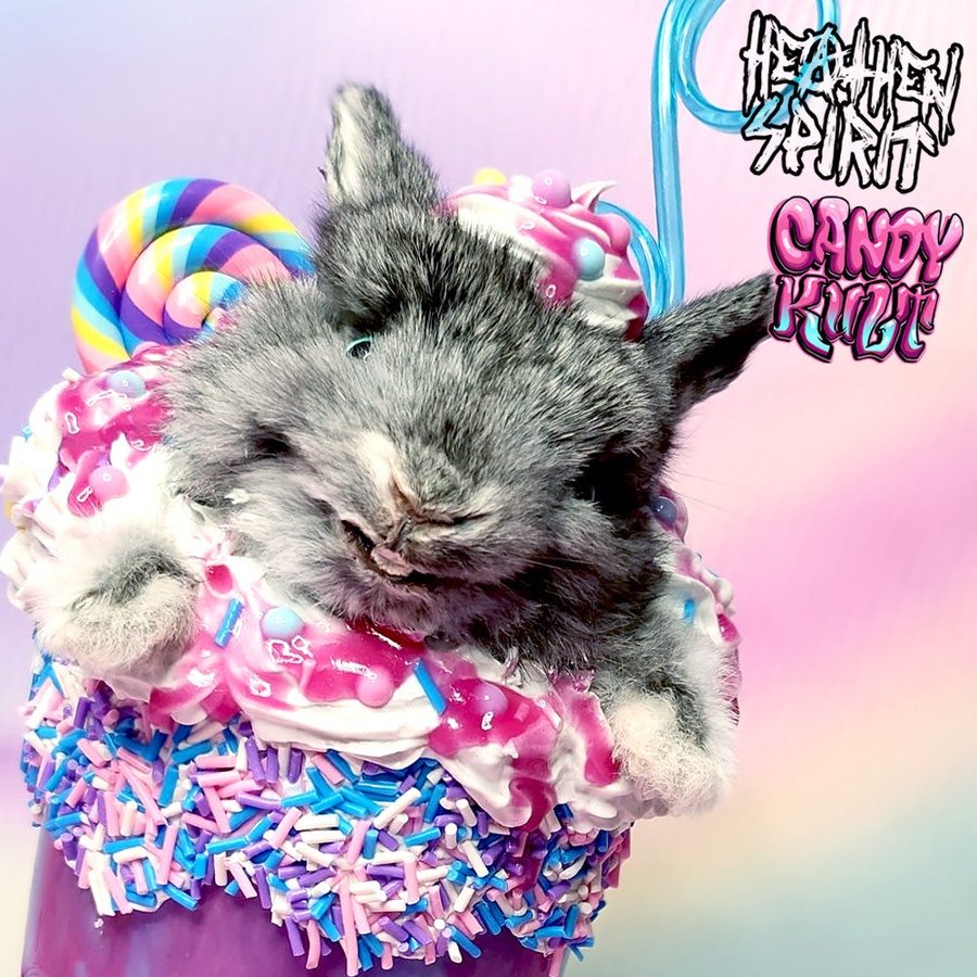 Cotton Candy Bubble Gum Milkshake Bunny Candy Kult bunny milkshake taxidermy Candy Cult - Candy Kult Land - Wishbone - Boo Kitty - Panku - Frosti - Toxic Kitten - Hex - Heart - Cult Candy - Ca