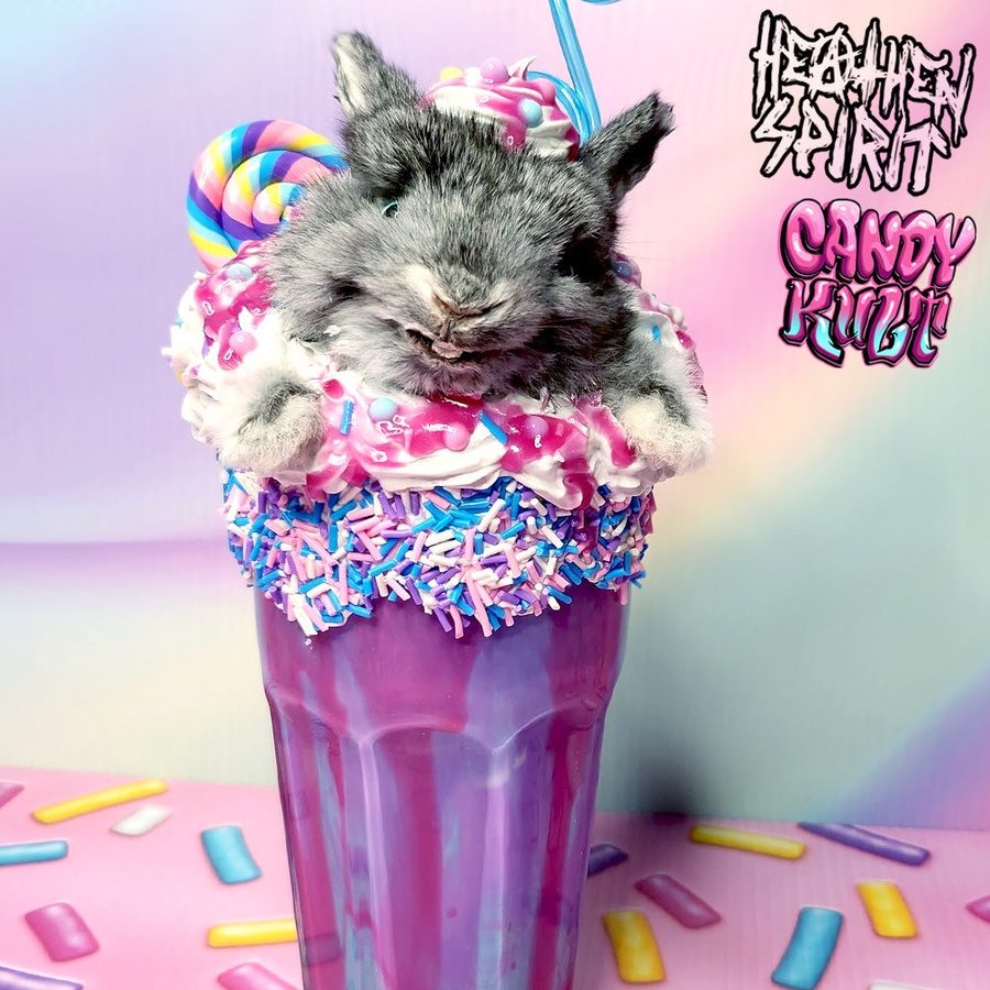 Cotton Candy Bubble Gum Milkshake Bunny Candy Kult bunny milkshake taxidermy Candy Cult - Candy Kult Land - Wishbone - Boo Kitty - Panku - Frosti - Toxic Kitten - Hex - Heart - Cult Candy - Ca