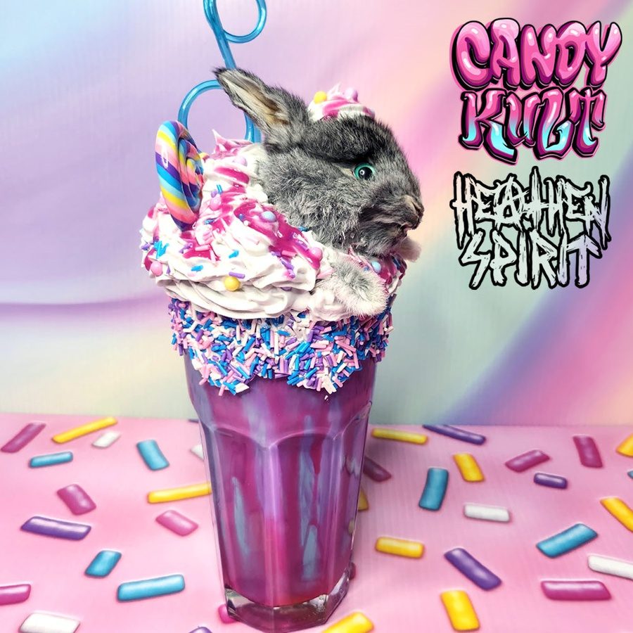 Cotton Candy Bubble Gum Milkshake Bunny Candy Kult bunny milkshake taxidermy Candy Cult - Candy Kult Land - Wishbone - Boo Kitty - Panku - Frosti - Toxic Kitten - Hex - Heart - Cult Candy - Ca