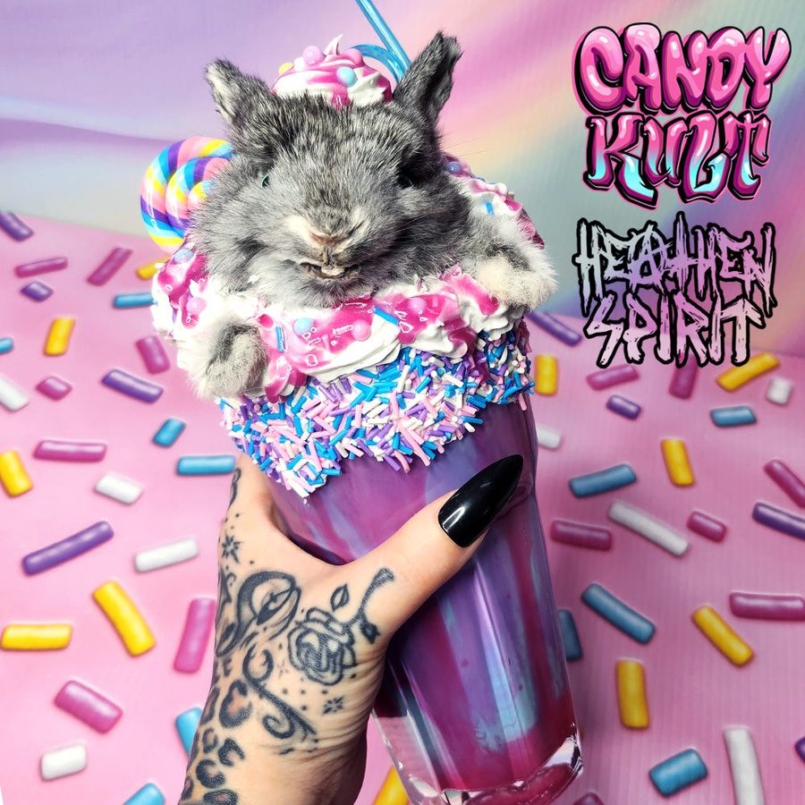 Cotton Candy Bubble Gum Milkshake Bunny Candy Kult bunny milkshake taxidermy Candy Cult - Candy Kult Land - Wishbone - Boo Kitty - Panku - Frosti - Toxic Kitten - Hex - Heart - Cult Candy - Ca