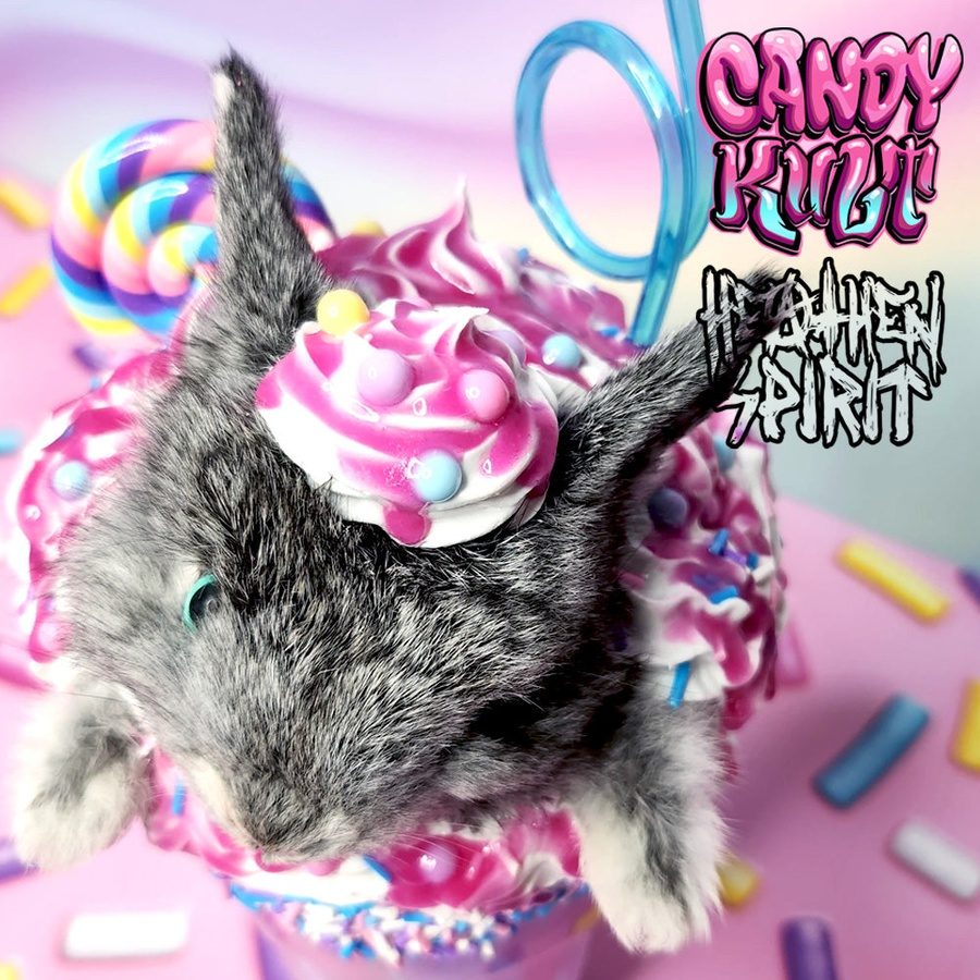 Cotton Candy Bubble Gum Milkshake Bunny Candy Kult bunny milkshake taxidermy Candy Cult - Candy Kult Land - Wishbone - Boo Kitty - Panku - Frosti - Toxic Kitten - Hex - Heart - Cult Candy - Ca