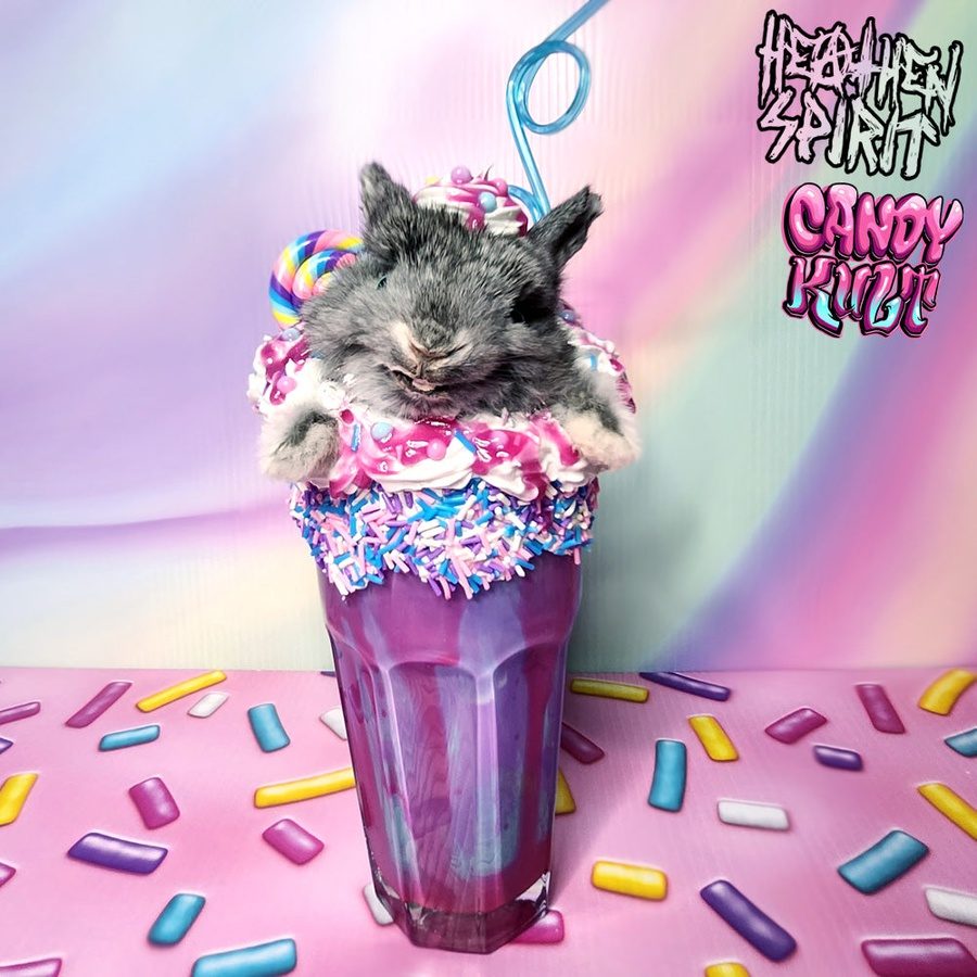 Cotton Candy Bubble Gum Milkshake Bunny Candy Kult bunny milkshake taxidermy Candy Cult - Candy Kult Land - Wishbone - Boo Kitty - Panku - Frosti - Toxic Kitten - Hex - Heart - Cult Candy - Ca
