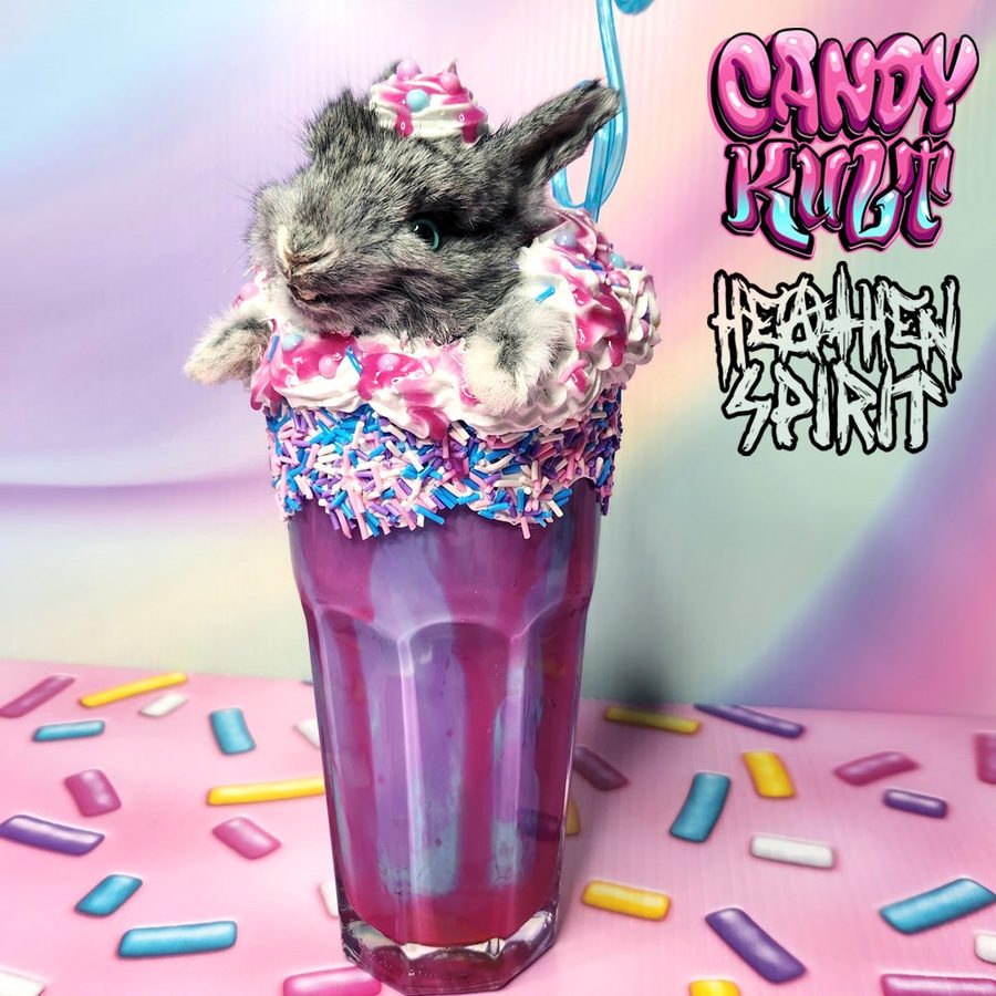 Cotton Candy Bubble Gum Milkshake Bunny Candy Kult bunny milkshake taxidermy Candy Cult - Candy Kult Land - Wishbone - Boo Kitty - Panku - Frosti - Toxic Kitten - Hex - Heart - Cult Candy - Ca