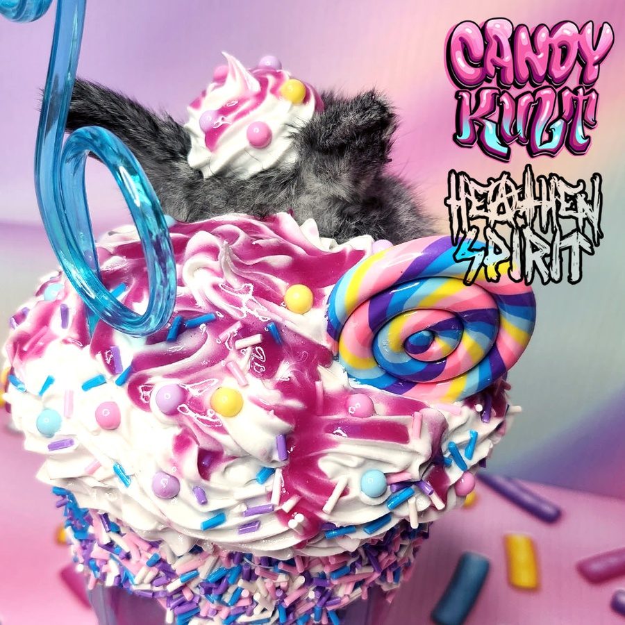 Cotton Candy Bubble Gum Milkshake Bunny Candy Kult bunny milkshake taxidermy Candy Cult - Candy Kult Land - Wishbone - Boo Kitty - Panku - Frosti - Toxic Kitten - Hex - Heart - Cult Candy - Ca