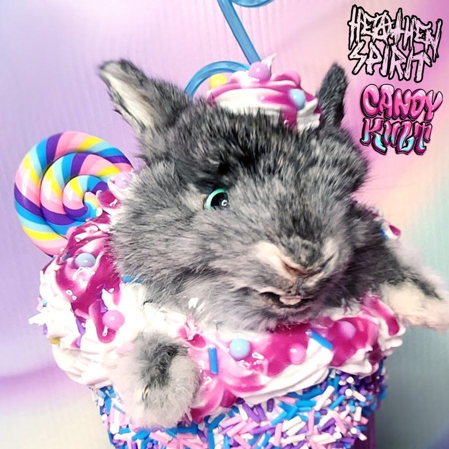 Cotton Candy Bubble Gum Milkshake Bunny Candy Kult bunny milkshake taxidermy Candy Cult - Candy Kult Land - Wishbone - Boo Kitty - Panku - Frosti - Toxic Kitten - Hex - Heart - Cult Candy - Ca