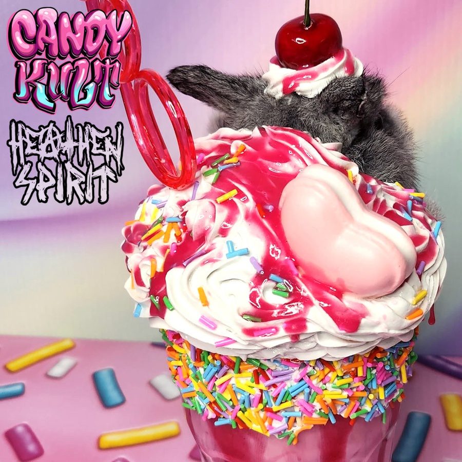Rainbow Cherry Milkshake Bunny Candy Kult bunny milkshake taxidermy Candy Cult - Candy Kult Land - Wishbone - Boo Kitty - Panku - Frosti - Toxic Kitten - Hex - Heart - Cult Candy - Ca