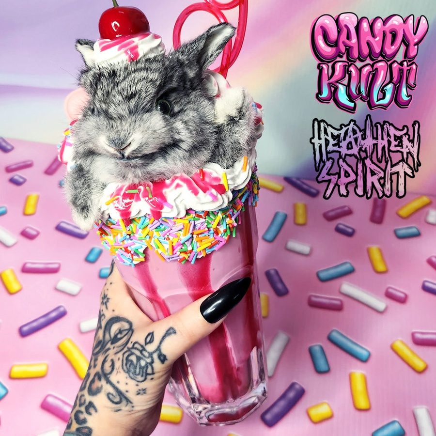 Rainbow Cherry Milkshake Bunny Candy Kult bunny milkshake taxidermy Candy Cult - Candy Kult Land - Wishbone - Boo Kitty - Panku - Frosti - Toxic Kitten - Hex - Heart - Cult Candy - Ca