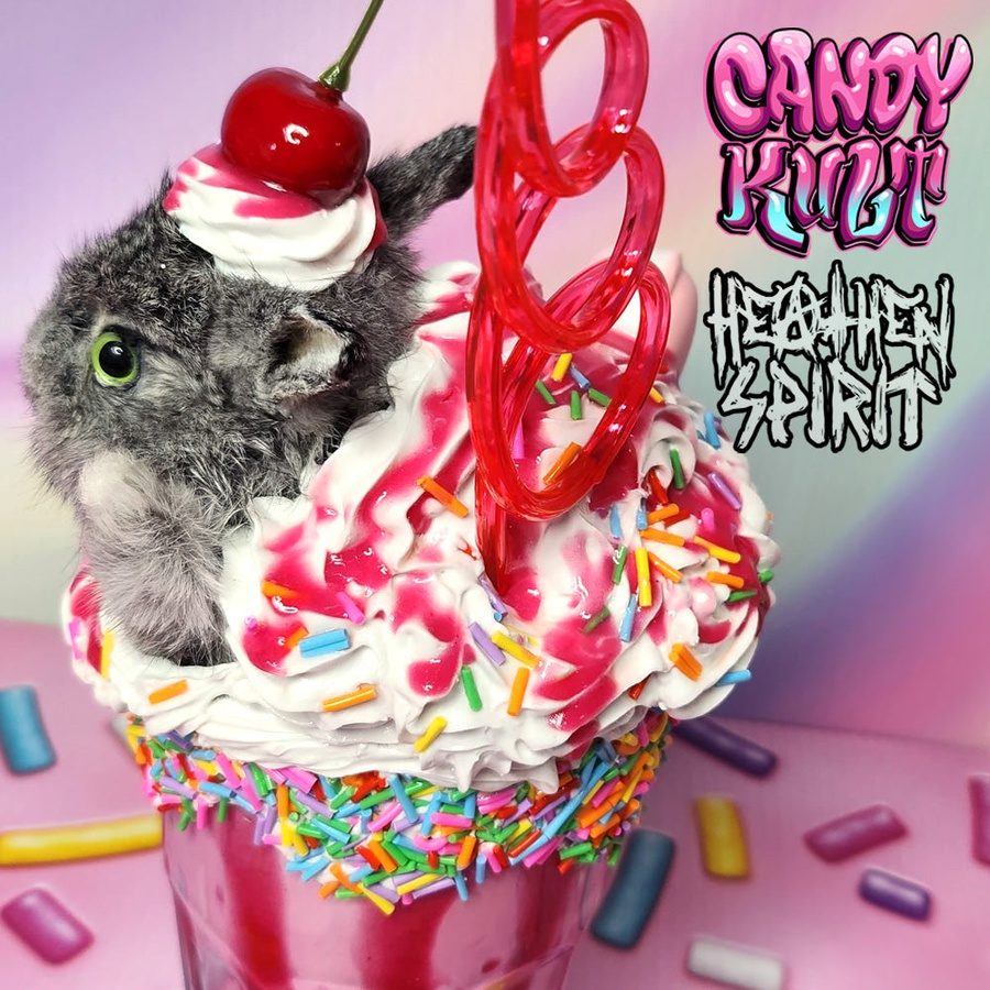 Rainbow Cherry Milkshake Bunny Candy Kult bunny milkshake taxidermy Candy Cult - Candy Kult Land - Wishbone - Boo Kitty - Panku - Frosti - Toxic Kitten - Hex - Heart - Cult Candy - Ca