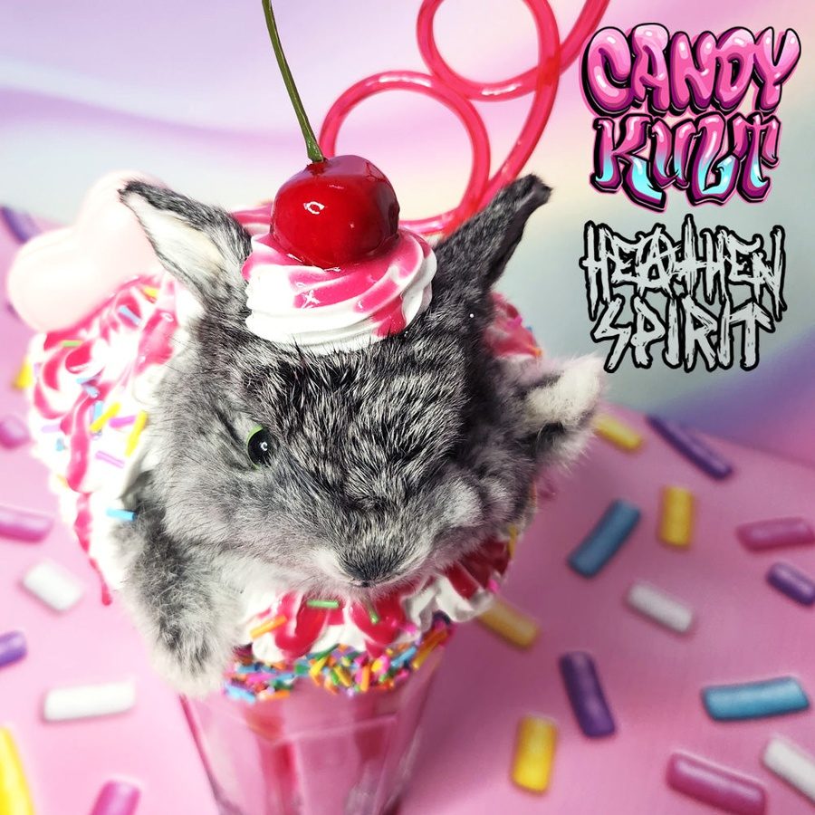 Rainbow Cherry Milkshake Bunny Candy Kult bunny milkshake taxidermy Candy Cult - Candy Kult Land - Wishbone - Boo Kitty - Panku - Frosti - Toxic Kitten - Hex - Heart - Cult Candy - Ca