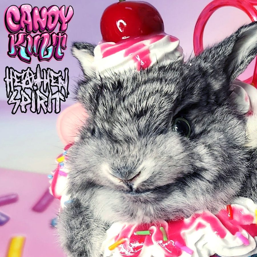 Rainbow Cherry Milkshake Bunny Candy Kult bunny milkshake taxidermy Candy Cult - Candy Kult Land - Wishbone - Boo Kitty - Panku - Frosti - Toxic Kitten - Hex - Heart - Cult Candy - Ca