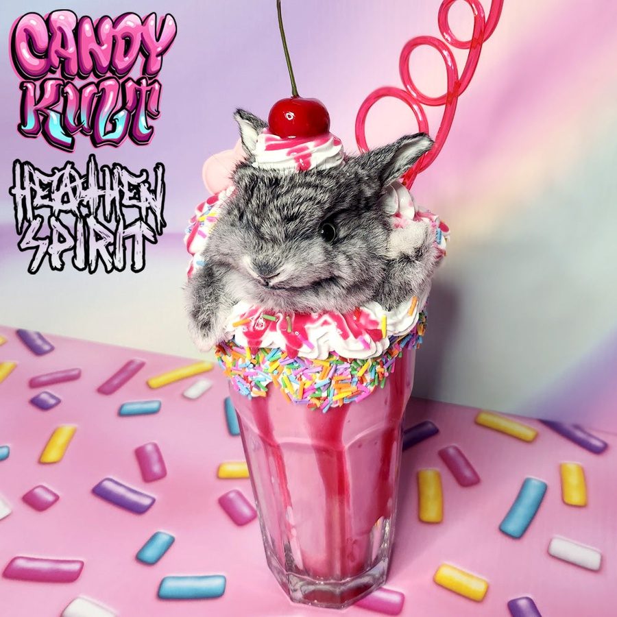 Rainbow Cherry Milkshake Bunny Candy Kult bunny milkshake taxidermy Candy Cult - Candy Kult Land - Wishbone - Boo Kitty - Panku - Frosti - Toxic Kitten - Hex - Heart - Cult Candy - Ca
