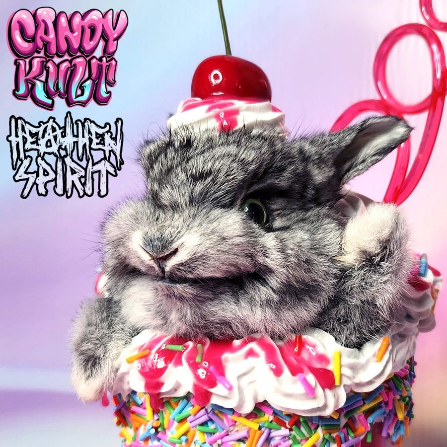 Rainbow Cherry Milkshake Bunny Candy Kult bunny milkshake taxidermy Candy Cult - Candy Kult Land - Wishbone - Boo Kitty - Panku - Frosti - Toxic Kitten - Hex - Heart - Cult Candy - Ca